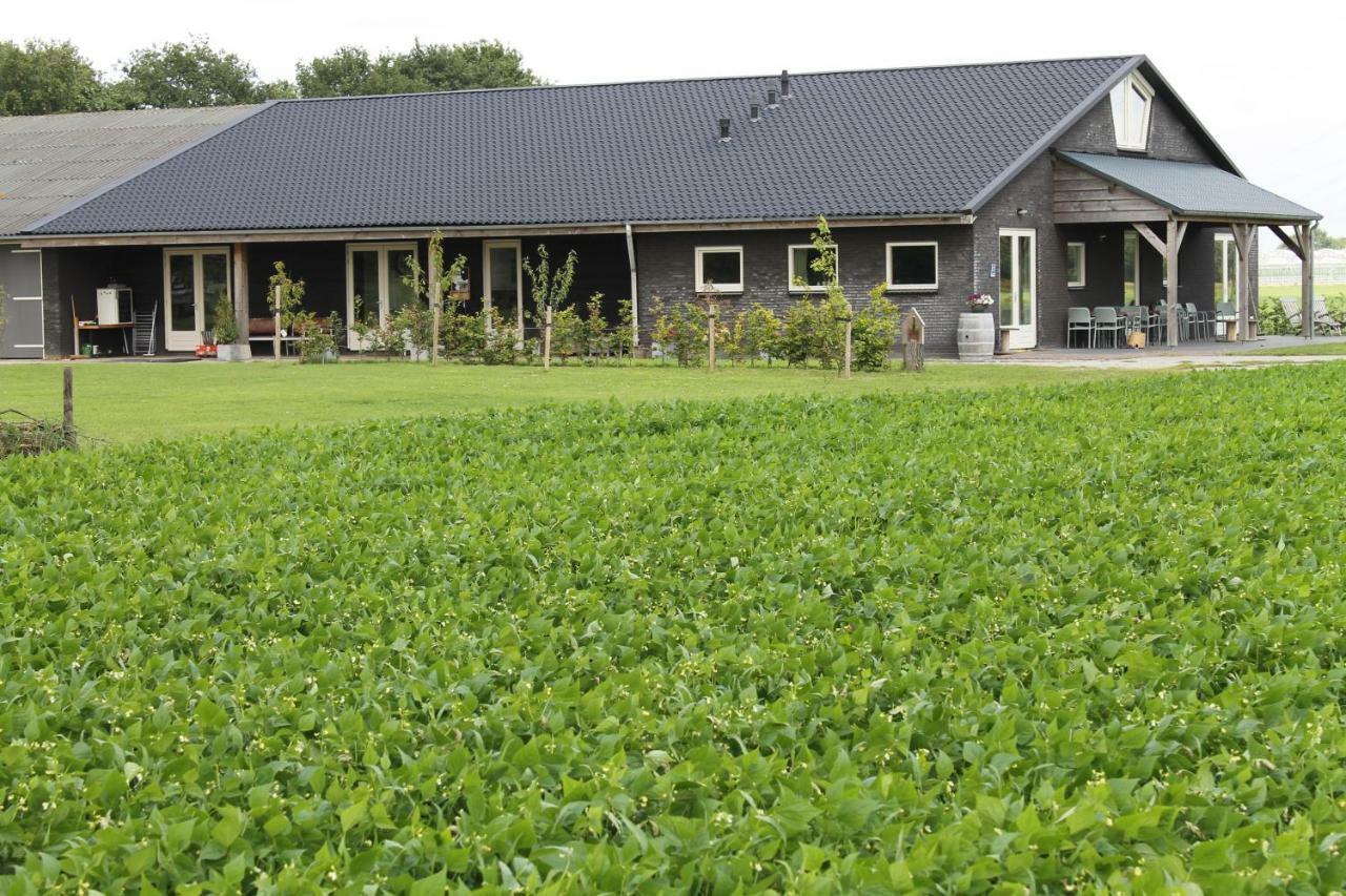 Munnickenheide Buitengewoon Overnachten Terheijden Bagian luar foto